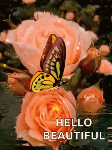 hello gif|hello beautiful images gif.